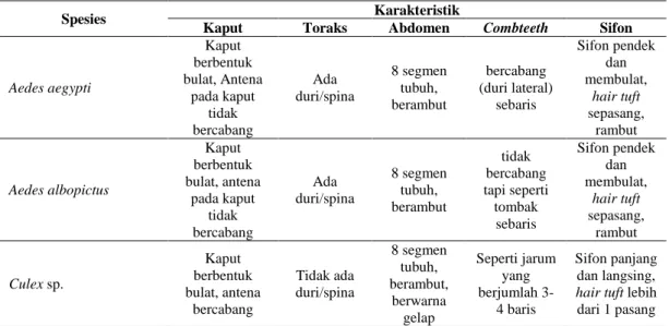 Tabel  4.2.  Karakteristik  Perbedaan  Setiap  Spesies  Jentik  Nyamuk  yang  Ditemukan di 