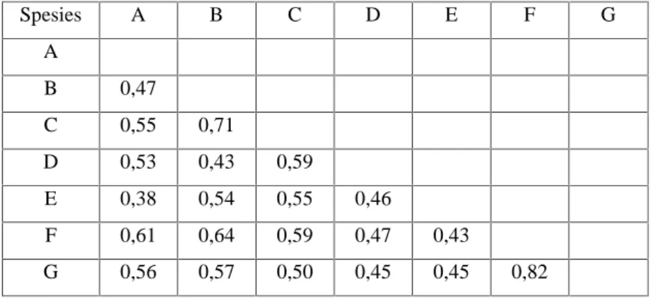 Tabel 1. Matrik Indeks Similaritas Dari Semua Kombinasi Pada Tujuh Spesies Anggota Familia Apocynaceae Spesies A B C D E F G A B 0,47 C 0,55 0,71 D 0,53 0,43 0,59 E 0,38 0,54 0,55 0,46 F 0,61 0,64 0,59 0,47 0,43 G 0,56 0,57 0,50 0,45 0,45 0,82 Keterangan: