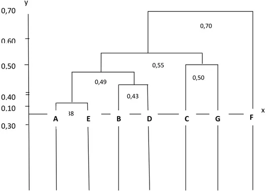 Gambar 2.8 Fenogram Hubungan Kekerabatan 7 Spesies Anggota Familia Apocynaceae Berdasarkan Karakteristik Morfologi Batang Daun, Bunga, Buah, Dan Biji.