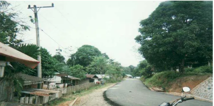 Gambar 2. Jalan Utama menuju Dusun Rantau Indah dan Dusun Rantau Sari  
