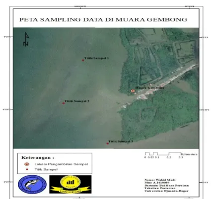 Gambar 1 Lokasi penelitian kerang darah (A. granosa) di Perairan Muara Gembong, Bekasi  HASIL DAN PEMBAHASAN 