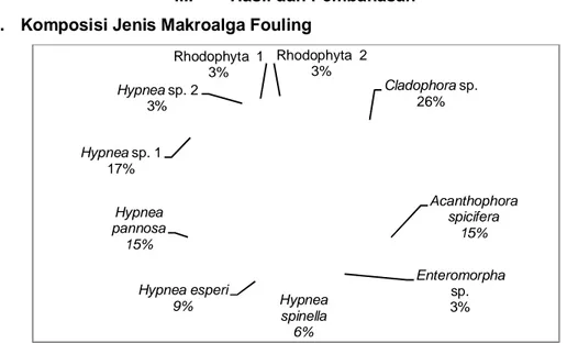 Gambar 3. Komposisi jenis makroalga fouling yang ditemukan selama penelitian 