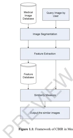 Figure 1.1:  The other group of image retrieval system, SBIR has emerged since the early PREVIEWFramework of CBIR in Medical 