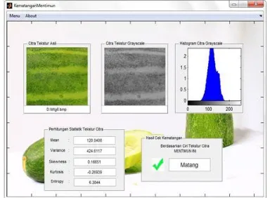 Gambar 4.10.  Tampilan Ciri Tekstur Citra  