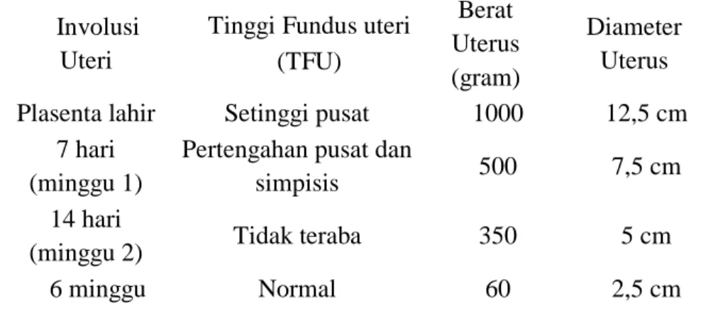 Tabel  6.    Perubahan-Perubahan  Normal  Pada  Uterus  Selama        Postpartum 