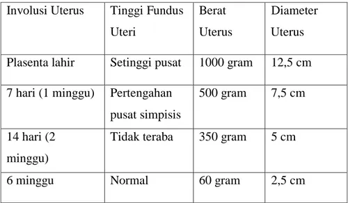 Tabel 2. 8. Perubahan normal pada uterus 