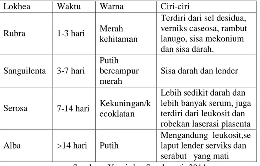 Table 2. 7.  Perbedaan Masing-masing Lokhea  Lokhea  Waktu  Warna  Ciri-ciri  Rubra  1-3 hari  Merah 