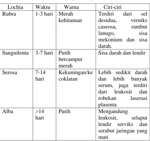 Table 8. Perbedaan Masing-masing Lochea 