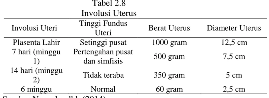 Tabel 2.8  Involusi Uterus  Involusi Uteri Tinggi Fundus 