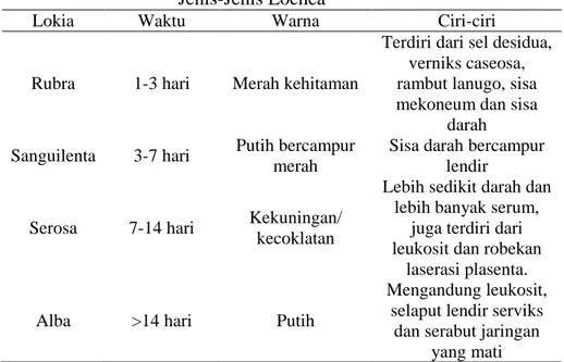 Tabel 2.9   Jenis-Jenis Lochea 