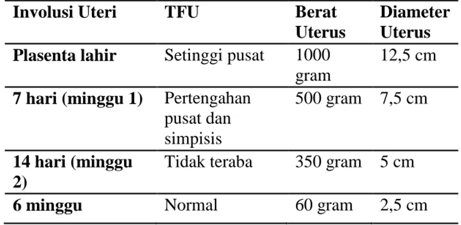 Tabel 8. Perubahan-Perubahan Normal Pada Uterus Selama  Postpartum 