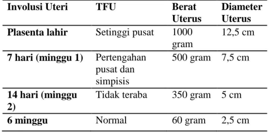 Tabel 8. Perubahan-Perubahan Normal Pada Uterus Selama  Postpartum 