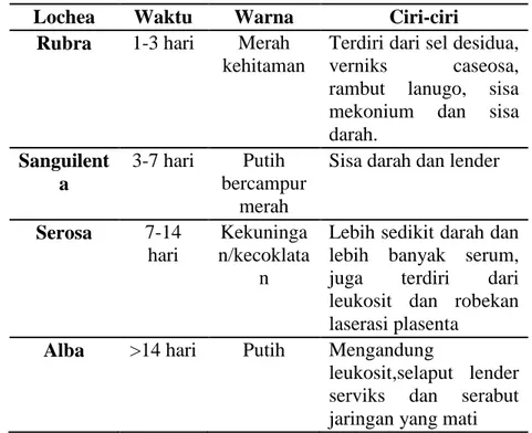 Table 9. Perbedaan Masing-masing Lochea 