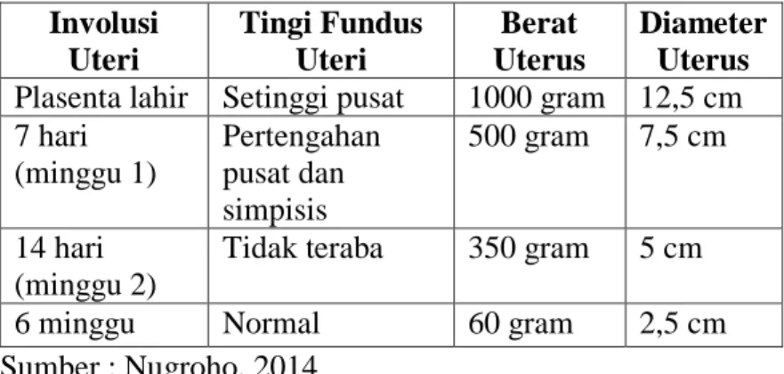 Tabel  2.7  Perubahan–Perubahan  Normal  pada  Uterus Selama Postpartum 