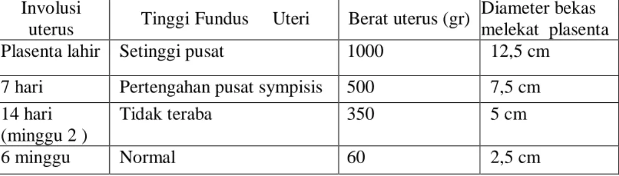 Tabel 2.10 : Involusi Uterus pada Masa Nifas 