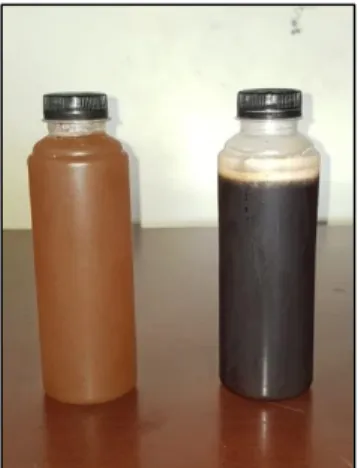 Gambar 7. Perbandingan fisik gula hasil vacuum evaporasi   (kiri) gula cair hasil produksi manual (kanan) 