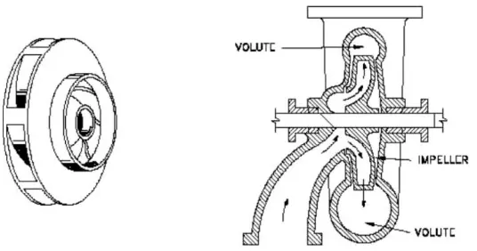 Gambar 2.13 .Hubungan antara harga ns dengan bentuk impeller [8] 