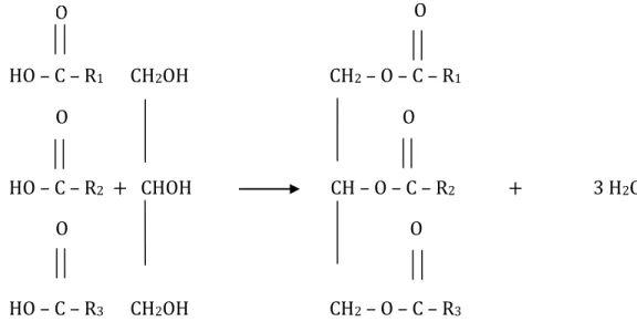 Gambar 2.1 Reaksi esterifikasi asam lemak dan gliserol (Tambun, 2006).  