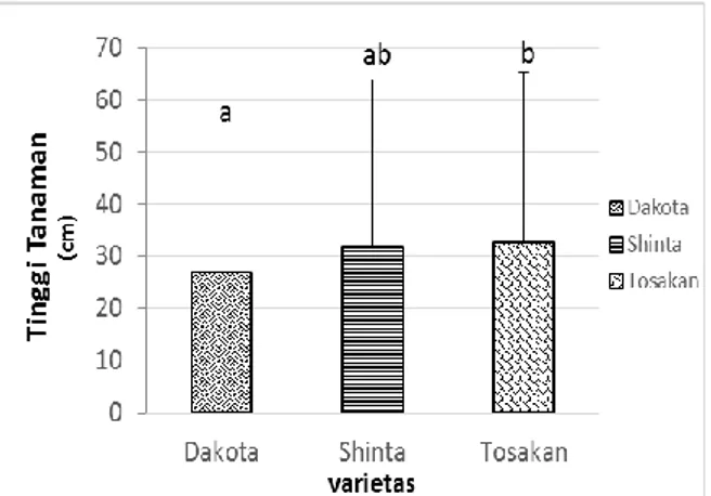 Gambar 2.   Hasil rata-rata jumlah daun varietas  Tosakan, Shinta dan Dakota   pada hari 