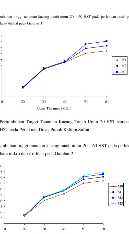 Gambar 1.  Pertumbuhan  Tinggi  Tanaman  Kacang  Tanah  Umur  20  HST  sampai  60  HST pada Perlakuan Dosis Pupuk Kalium Sulfat 