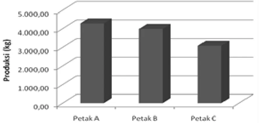 Gambar 1.  Produksi Rumput Laut Setiap Petak Tambak 