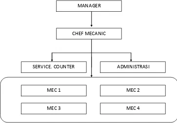 Gambar 3.1 Struktur Organisasi CV Terang Jaya Motor 