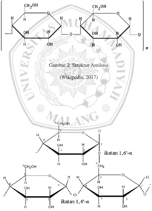Gambar 2. Struktur Amilosa  (Wikipedia, 2017) 