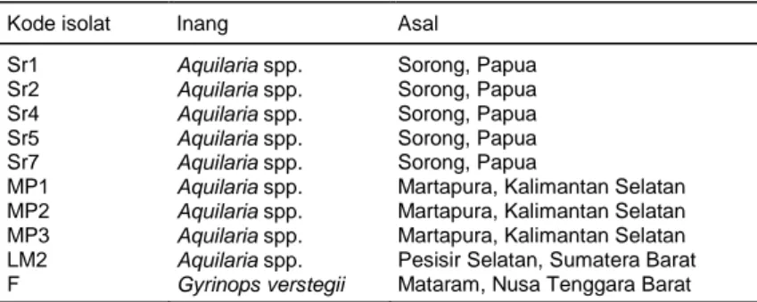 Tabel 1. Sepuluh isolat Acremonium spp. dari empat daerah di Indonesia yang 