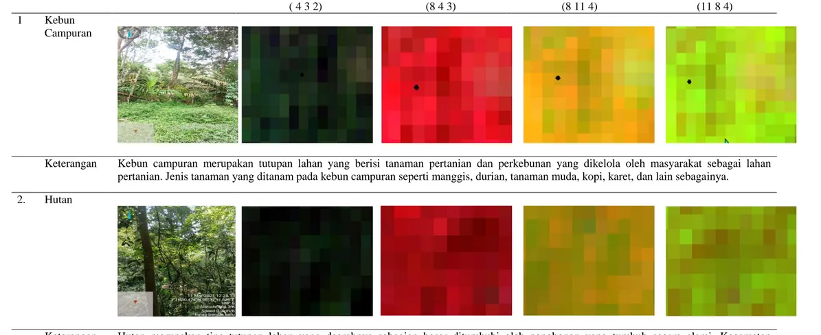 Tabel 3. Kombinasi Band Natural Color, False Color Infrared, Land/ Water, Vegetation Analysis No  Tutupan 