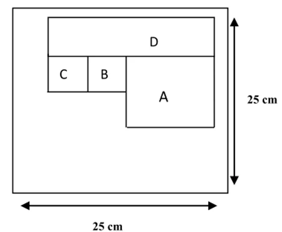 Gambar 1. Pola pemotongan permukaan contoh uji  untuk pengujian 