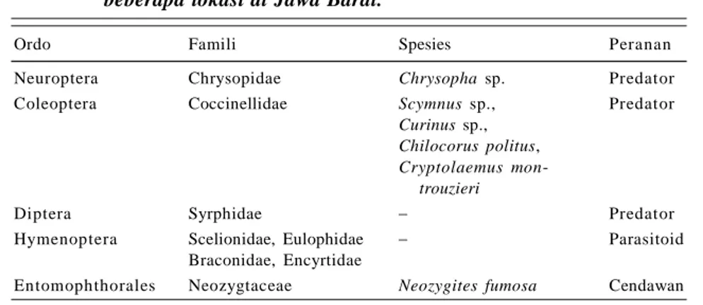 Tabel 1. Musuh alami Paracoccus marginatus berdasarkan hasil survei di beberapa lokasi di Jawa Barat.