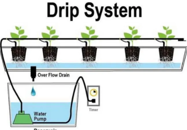 Gambar 2.6. Drip Sistem 