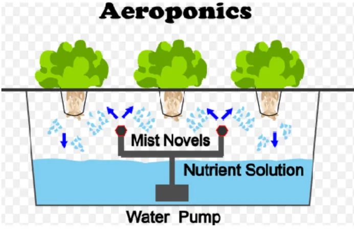 Gambar 2.7 Gambar Aeroponics 