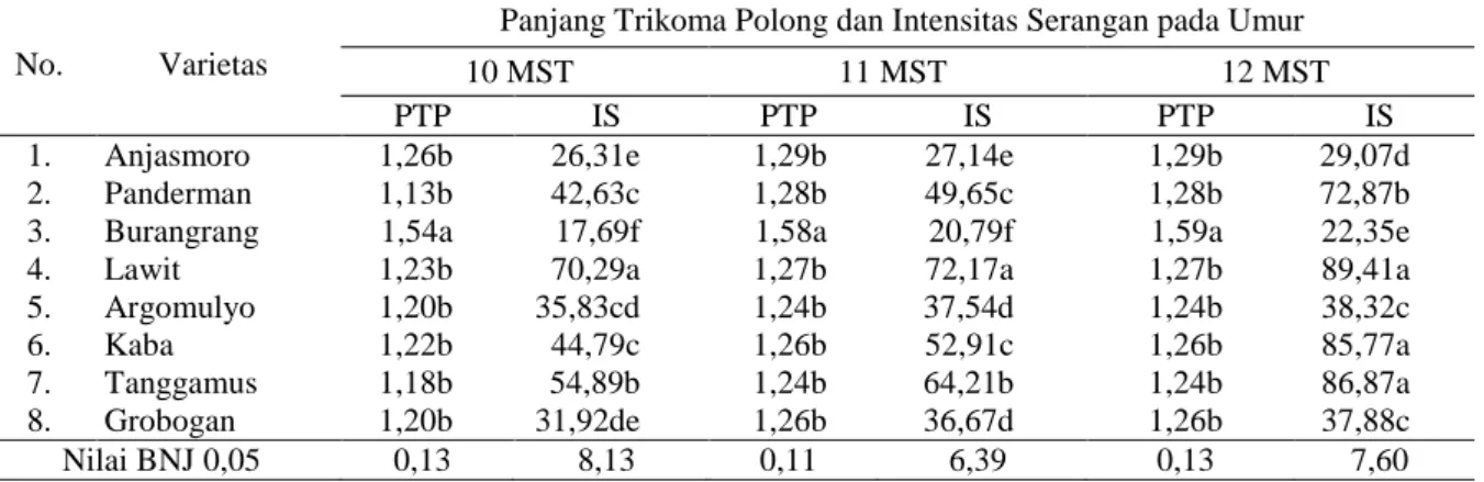 Tabel 5. Rata-rata panjang trikoma polong dan intensitas serangan hama pengisap polong (Riptortus linearis)  pada umur 10 MST, 11 MST dan 12 MST