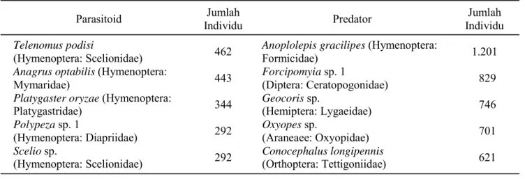 Gambar 2. Jumlah morfospesies (A) parasitoid dan (B) predator pada pertanaman kelapa sawit dan padi sawahKelapa sawitSawahKelapa sawitSawah