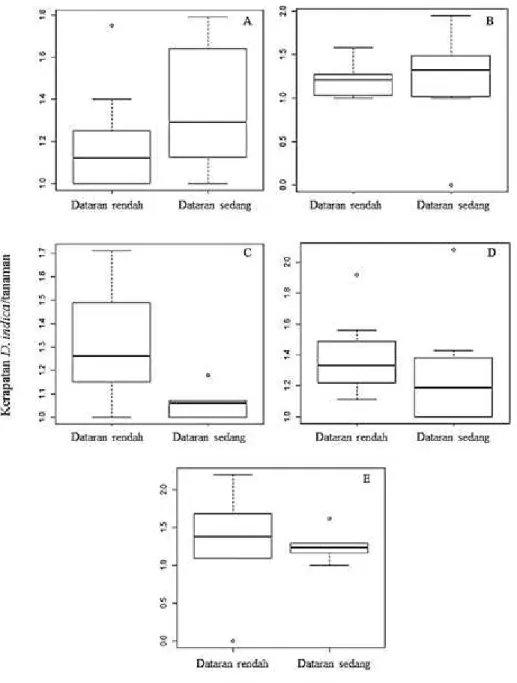 Gambar 6. Boxplot kerapatan larva D. indica per tanaman pada tanaman mentimun umur (A) 2 minggu (Dataran rendah (median = 1,12; min = 1; maks = 1,75; galat baku = 0,08), Dataran sedang (median = 1,29; min = 1; maks = 1,79; galat baku = 0,12)), (B) 3 minggu