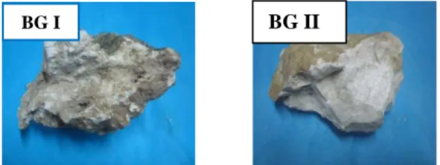 Gambar  2.    Sampel  batuan  gamping  BG  I  dan  BG  II  sebelum  dilakukan  destruksi  dan  pencucian 