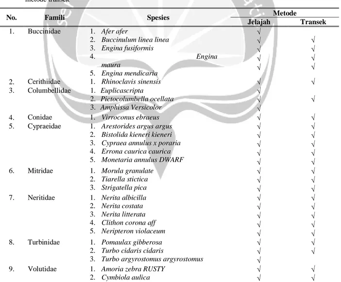 Tabel 1. Keanekaragaman  spesies  Gastropoda  di  Pantai  Seger,  Lombok  Tengah  berdasarkan  metode  jelajah  dan  metode transek 