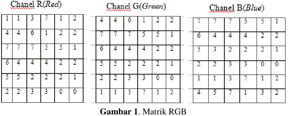 Gambar 1. Matrik RGB 