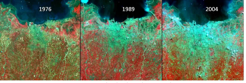 Gambar 1. Citra satelit perubahan lahan dari vegetasi (warna merah kecoklatan) ke