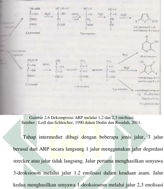 Gambar 2.6 Dekomposisi ARP melalui 1,2 dan 2,3 enolisasi  Sumber : Ledl dan Schleicher, 1990 dalam Dedin dan Rosidah, 2011