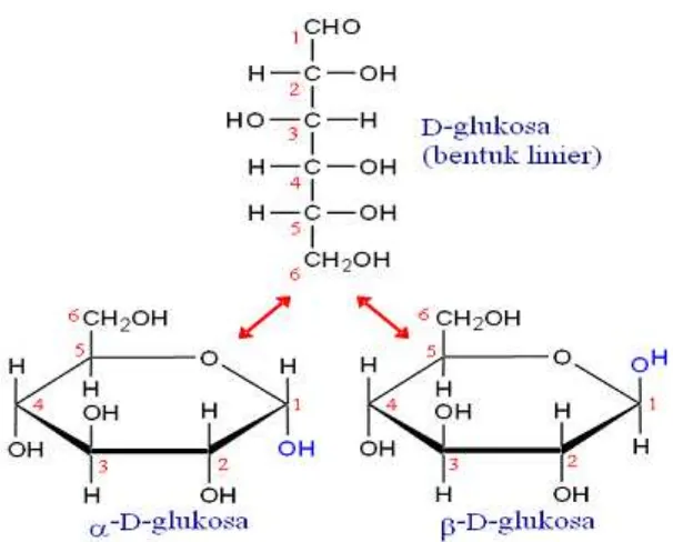 Gambar 2.6 Sumber Karbohidrat untuk Sintesis Alkil Poliglikosida Skala Pabrik [21] 
