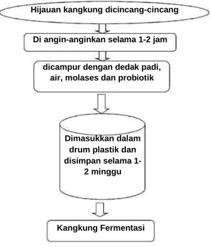 Gambar 1. Skema proses pembuatan kangkung fermentasi 