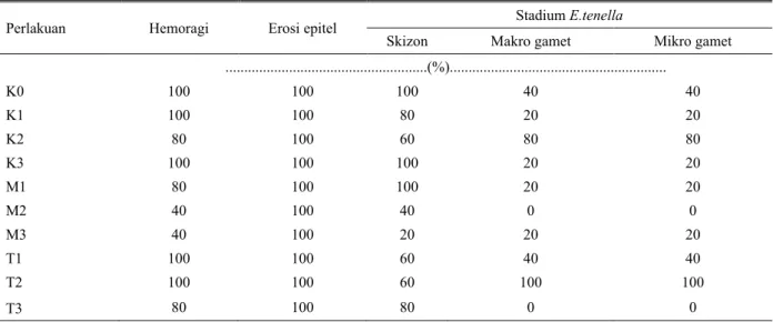 Tabel 3.  Persentase hemoragi, erosi epitel dan stadium E.  tenella yang diamati secara  mikroskopis (histopatologi) sekum ayam  yang diinfeksi 5000 ookista E.tenella per ekor 