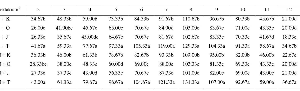 Tabel 3.1  Rerata jumlah imago B. tabaci/perangkap di pertanaman cabai merah pada perlakuan kombinasi antara pesemaian dan jenis pembatas pinggir
