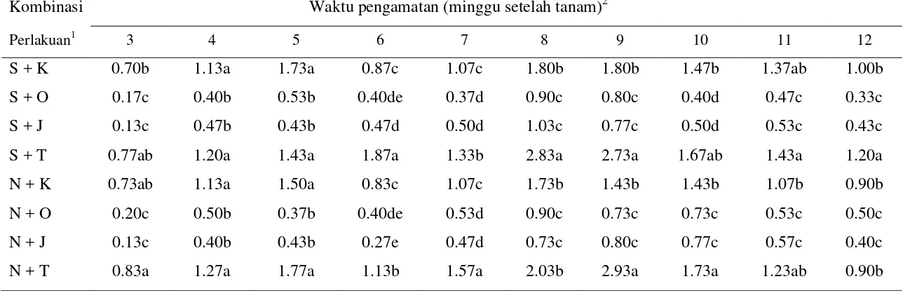 Tabel 3.2 Rerata jumlah nimfa B. tabaci/daun di pertanaman cabai merah pada perlakuan kombinasi antara perlakuan pesemaian dan jenis pembatas  pinggir