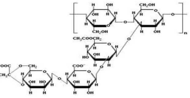 Gambar 2. Struktur kimia xanthan gum (Sworn, 2000). 