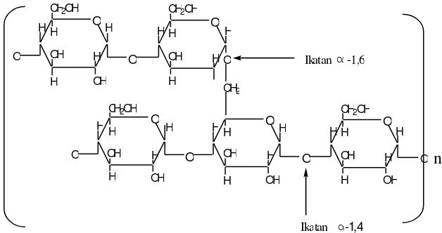 Gambar 2. Struktur molekul amilopektin (Kusnandar, 2011) 