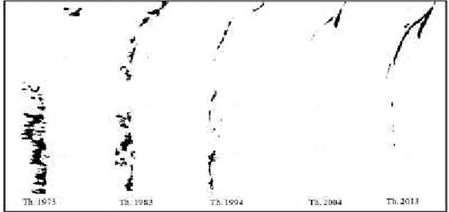 Gambar 5. Trend peruba pada tahun 1973 Berdasarkan  data  yang mangrove  cenderung  terus  m meningkat  hingga  tahun  2013