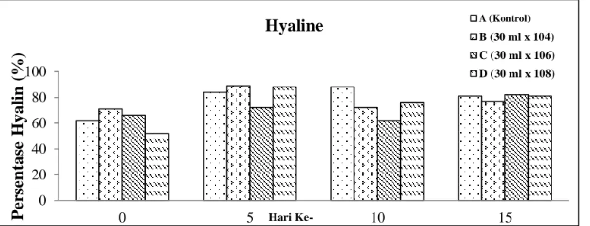 Gambar  3.  Sel  hyalin  (Perbesaran  40x)